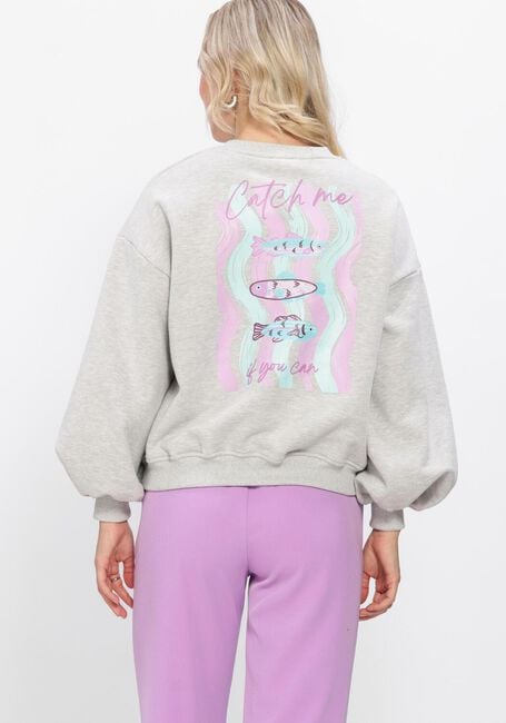 Ydence - Lichtgrijze Sweater True Catch