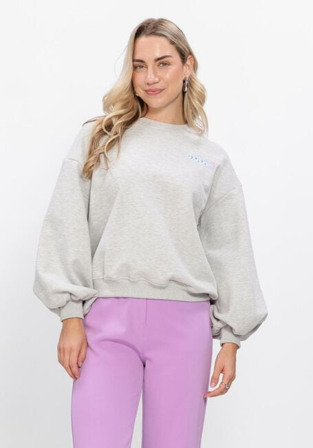 Ydence - Lichtgrijze Sweater True Catch
