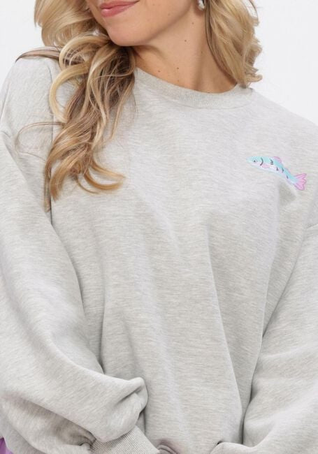 Ydence - Lichtgrijze Sweater True Catch