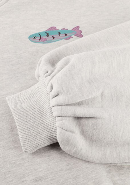 Ydence - Lichtgrijze Sweater True Catch